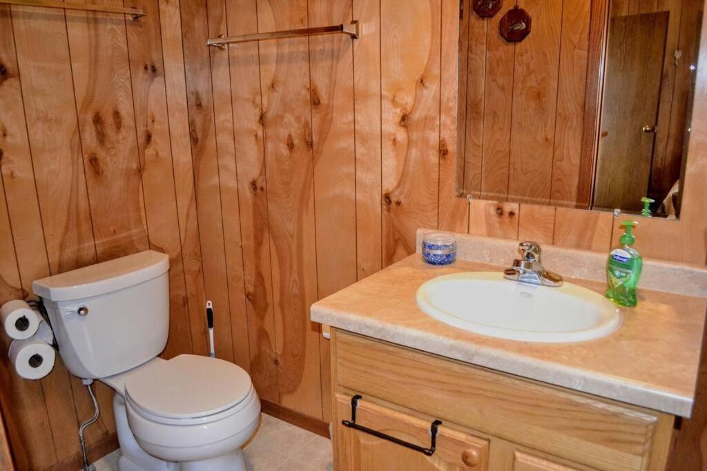 Nitschke'S Resort Cabin #15 Minocqua Buitenkant foto